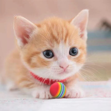 Striped Interactive Rainbow Ball For Cat - Multicolor