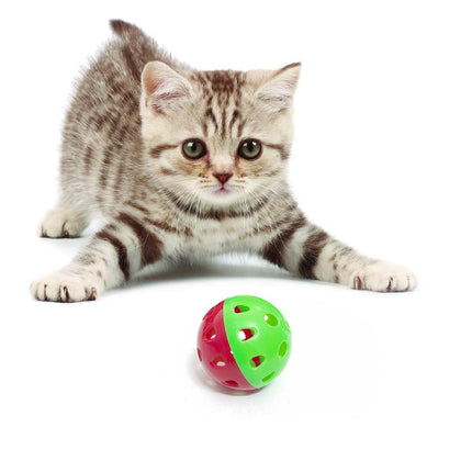 Playtime Parrots And Cats Pet Teaser Ball - Multi Color