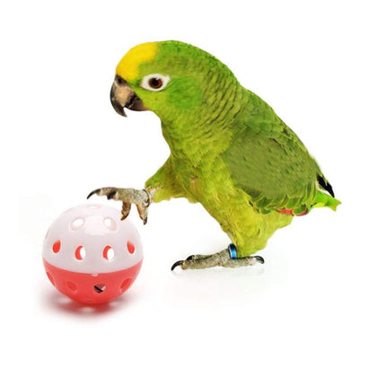 Playtime Parrots And Cats Pet Teaser Ball - Multi Color