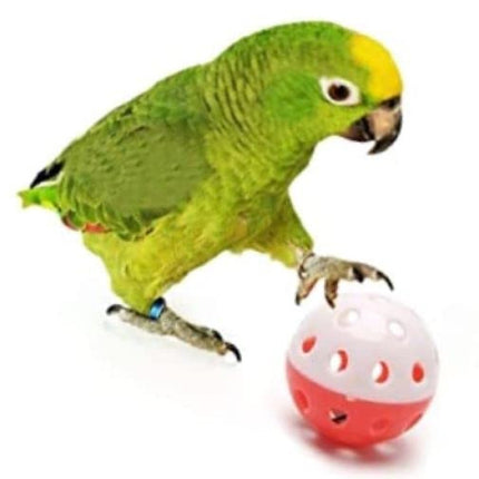 Playtime Parrots And Cats Pet Teaser Ball - Multi Color