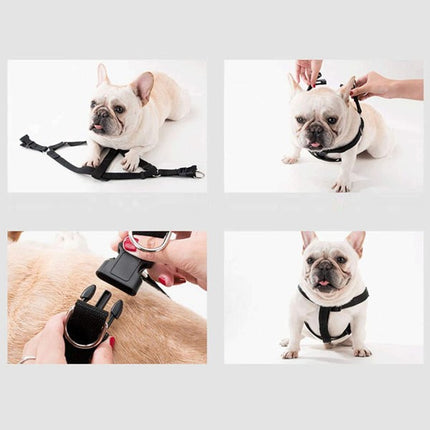 Handheld Pet Walking Chest And Back Adjustable Leash Set