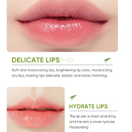 Nourish And Hydrate Vitamin C Lip Moist Stick - Orange