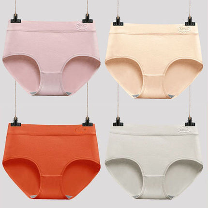 French Cut Elastic Waist Stylish Underwear Plain Color Mini Panty Women Undergarments - Skin