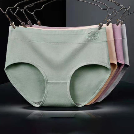 French Cut Elastic Waist Stylish Underwear Plain Color Mini Panty Women Undergarments - Skin