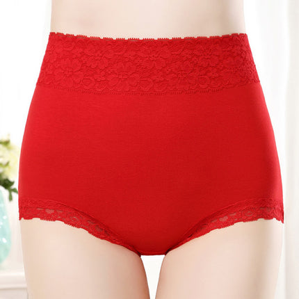 Flawless Lace High Waist Brief Stylish Soft and Comfortable Women's Underwear - Red