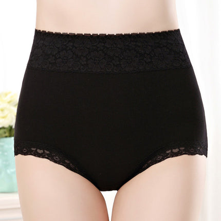 Flawless Lace High Waist Brief Stylish Soft and Comfortable Women's Underwear - Black