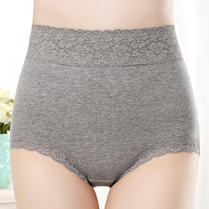 Flawless Lace High Waist Brief Stylish Soft and Comfortable Women's Underwear - Gray