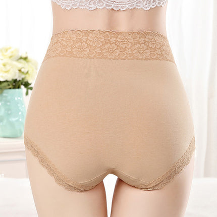 Flawless Lace High Waist Brief Stylish Soft and Comfortable Women's Underwear - Skin