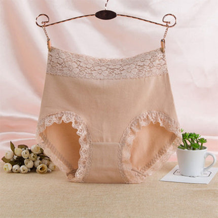 Flawless Lace High Waist Brief Stylish Soft and Comfortable Women's Underwear - Skin