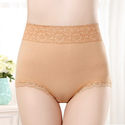 Flawless Lace High Waist Brief Stylish Soft and Comfortable Women's Underwear - Skin