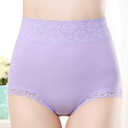 Flawless Lace High Waist Brief Stylish Soft and Comfortable Women's Underwear - Light Purple