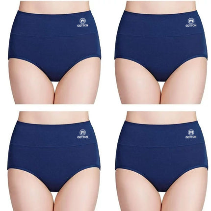 Stylish High Waist Brief Underwear Soft Summer Fabric Elastic Closure Mesh Pattern Underwear - Navy Blue