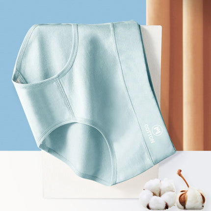 Stylish High Waist Brief Underwear Soft Summer Fabric Elastic Closure Mesh Pattern Underwear - Light Blue