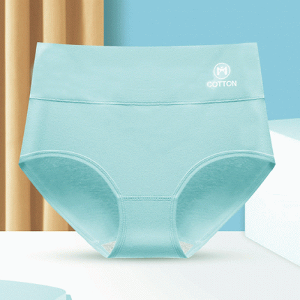 Stylish High Waist Brief Underwear Soft Summer Fabric Elastic Closure Mesh Pattern Underwear - Light Blue