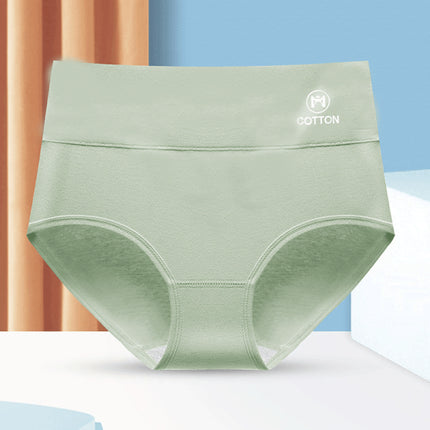 Stylish High Waist Brief Underwear Soft Summer Fabric Elastic Closure Mesh Pattern Underwear - Light Green