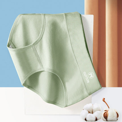 Stylish High Waist Brief Underwear Soft Summer Fabric Elastic Closure Mesh Pattern Underwear - Light Green