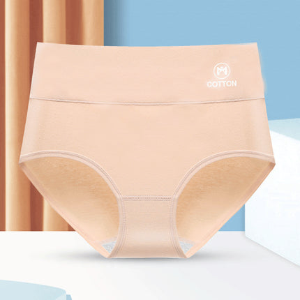 Stylish High Waist Brief Underwear Soft Summer Fabric Elastic Closure Mesh Pattern Underwear - Skin