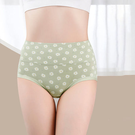 Stylish Light Green Hipster Underwear for Women Printed Soft Fabric Summer Fashion Girls Wear Panty Elastic Waist Cotton Blends