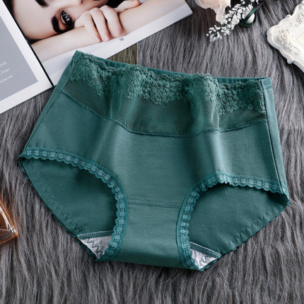 Stylish Lace Hipster Underwear Slim Fit Elastic Waist Dark Green Spandex Thin Fabric Inner Wear for Women