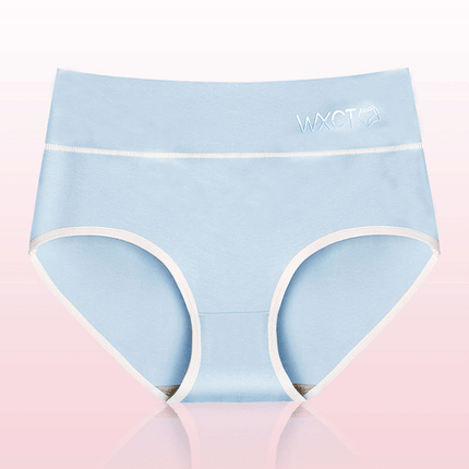 Stylish Cotton Blend Underwear for Women Breathable Soft Fabric Elastic Waist Blue Hipsters for Casual Comfort