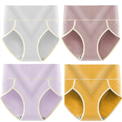 Soft Cotton Blended Elastic Waist Panties Set 4pcs Undergarments for Women Everyday Comfort for Stylish Ladies and Girls